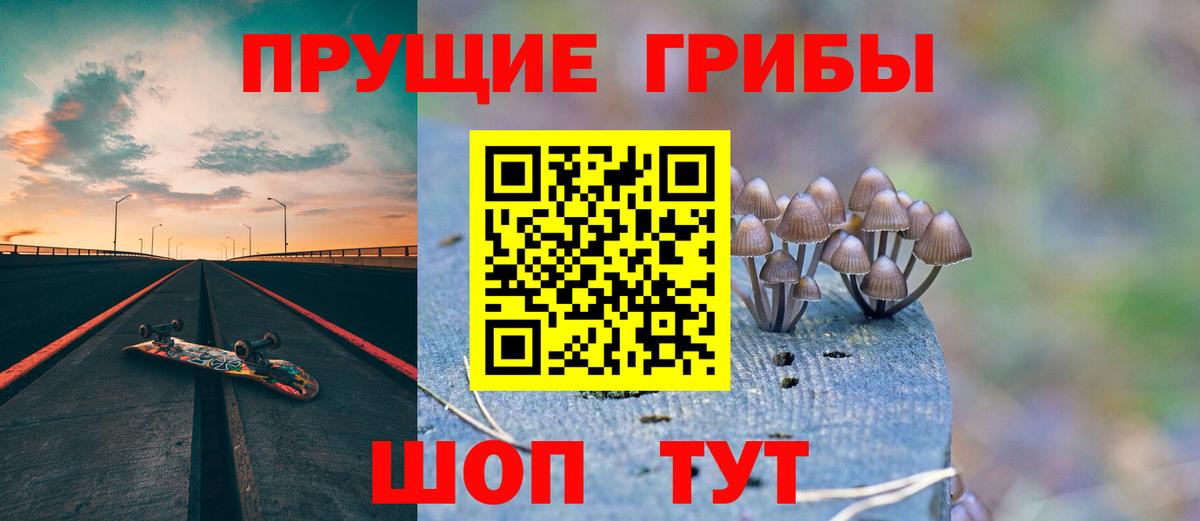Галлюциногенные грибы Psilocybe  Псилоцибиновые грибы GOLDEN TEACHER  Вход с VPN  Еманжелинск 