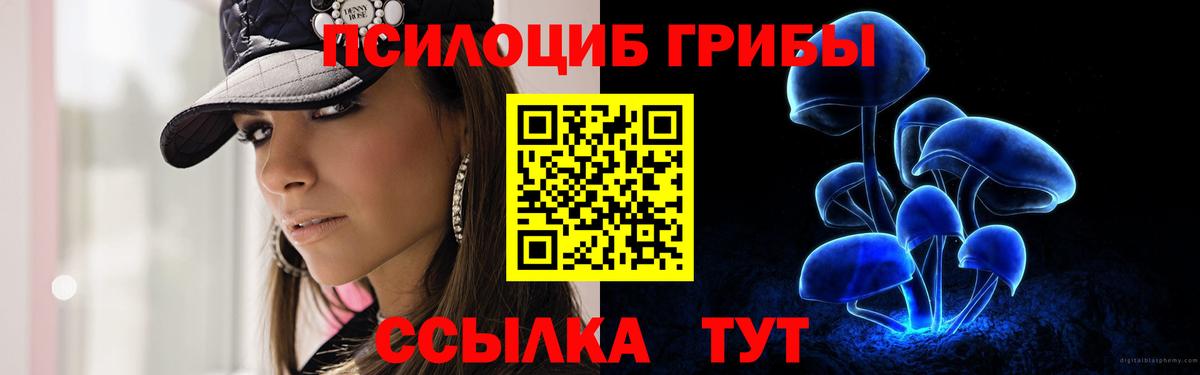 Псилоцибиновые грибы прущие грибы Еманжелинск